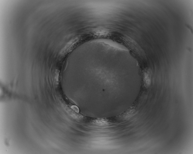 X0000103220668200809041004