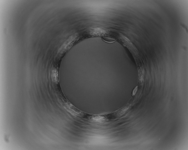 X0000103220669200809041004