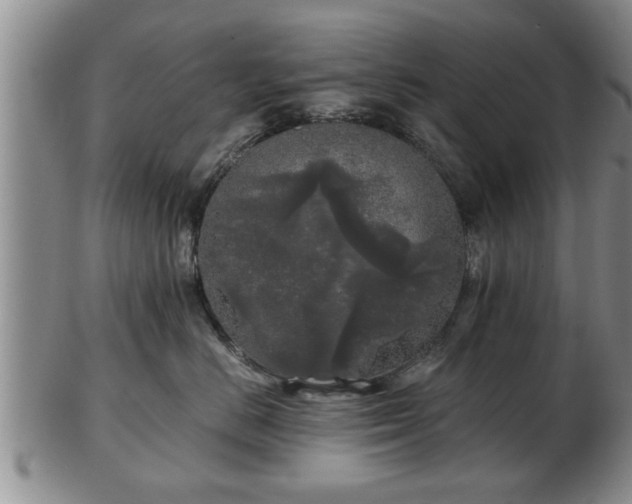 X0000103220670200809041004