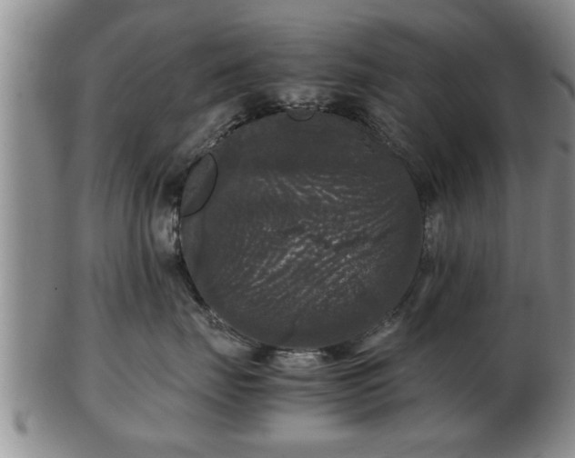 X0000103220671200809041004