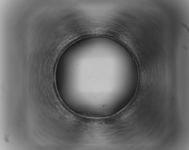 X0000103220673200809041003