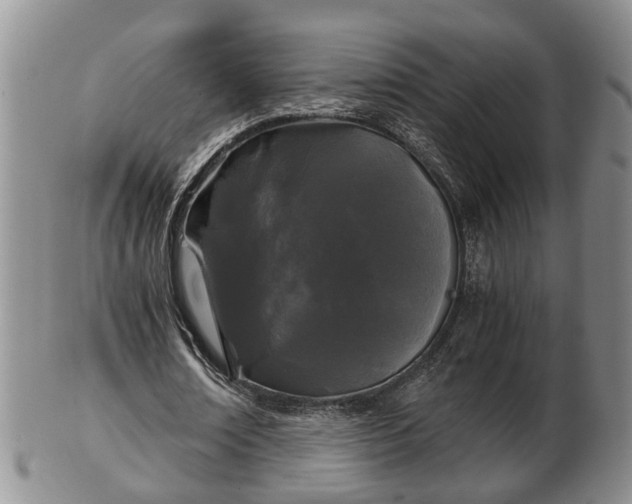 X0000103220674200809041003