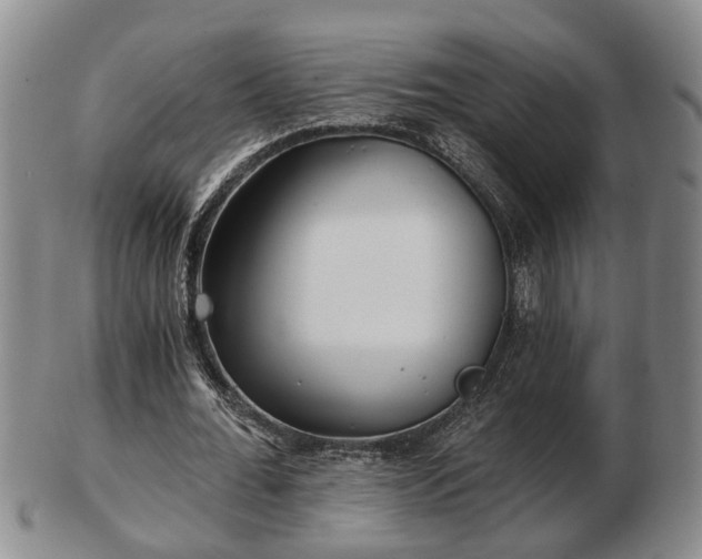 X0000103220676200809041003