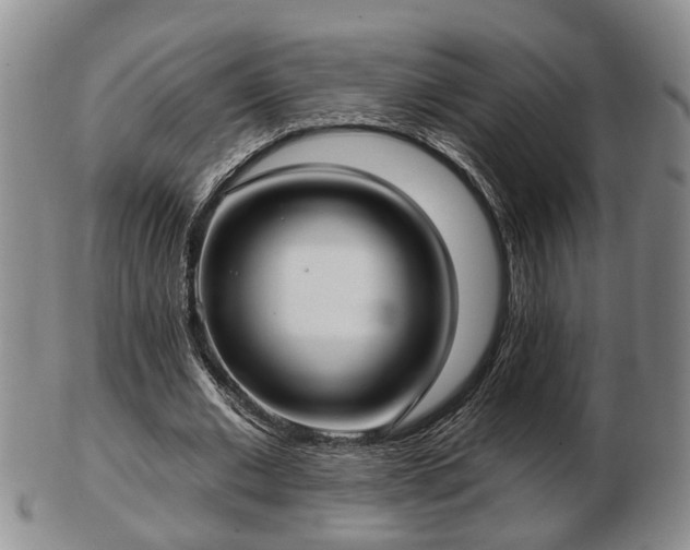 X0000103220677200809041003