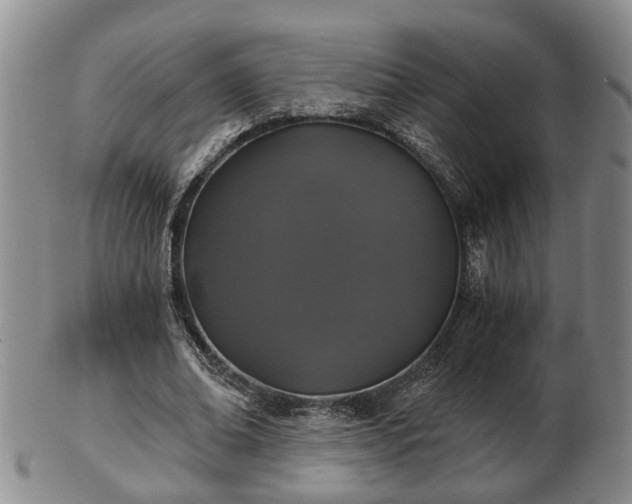 X0000103220678200809041003