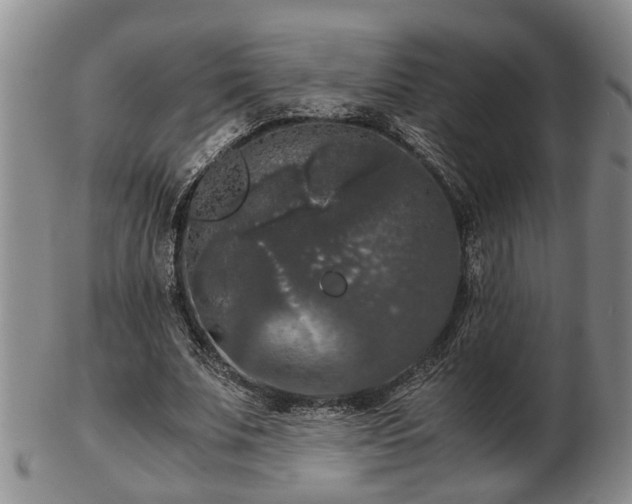 X0000103220679200809041003