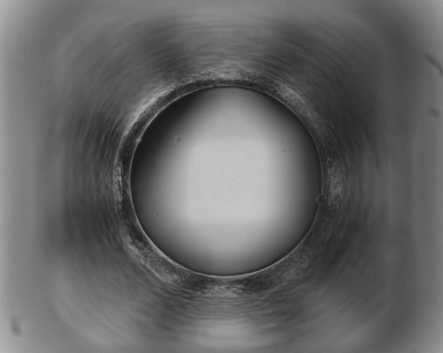 X0000103220680200809041003