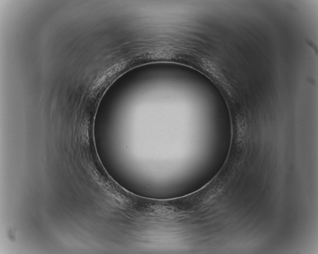 X0000103220681200809041003