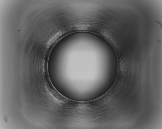 X0000103220682200809041003