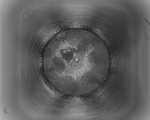 X0000103220683200809041003