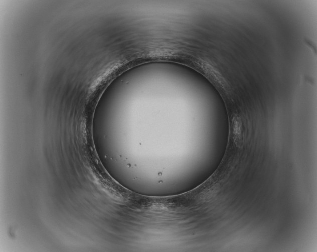 X0000103220684200809041003