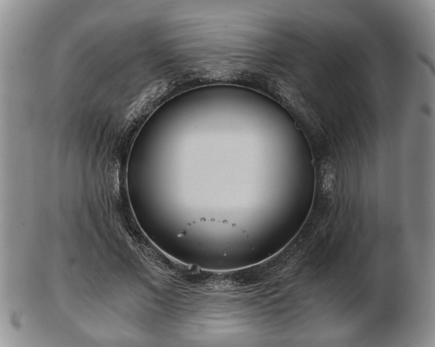 X0000103220685200809041003