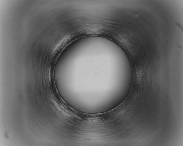 X0000103220686200809041003