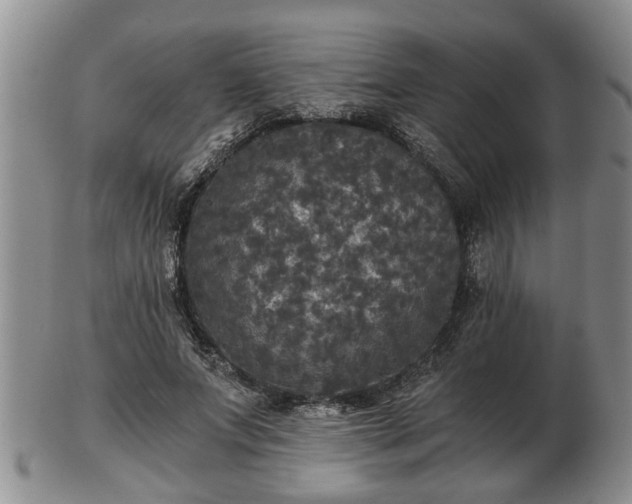 X0000103220687200809041003