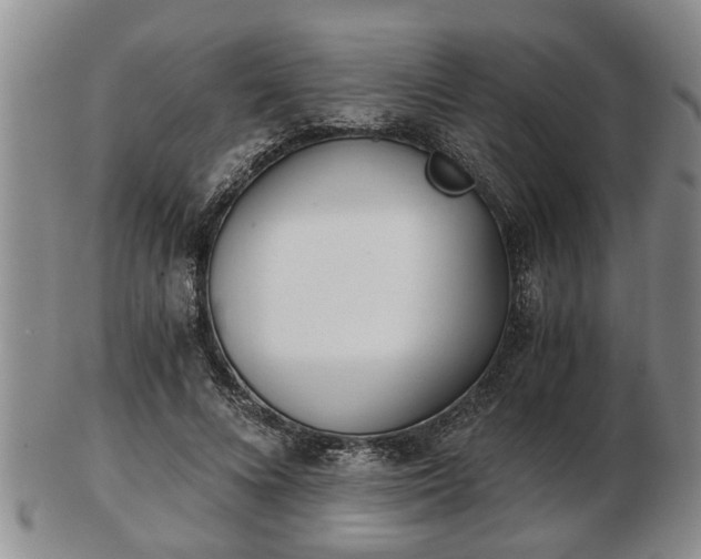 X0000103220688200809041003