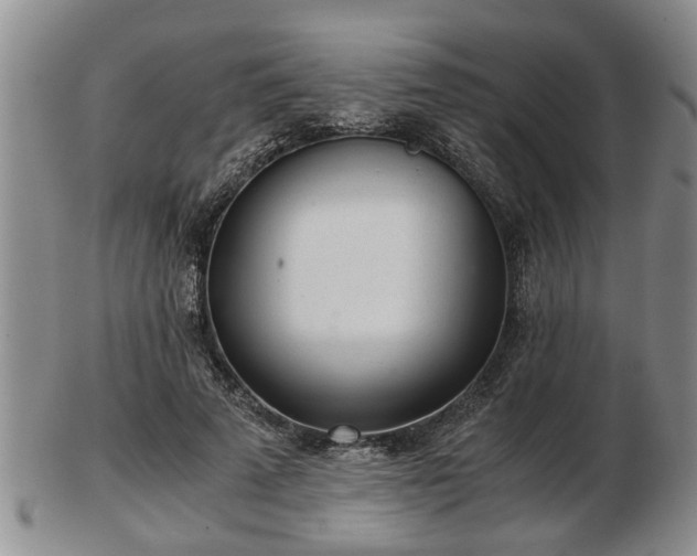 X0000103220689200809041003