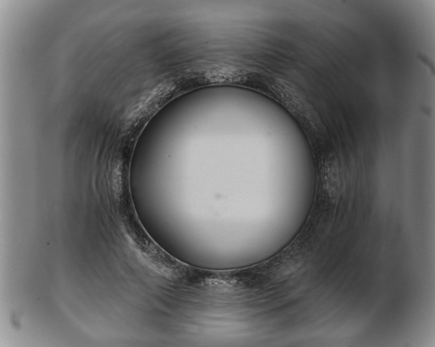 X0000103220690200809041003