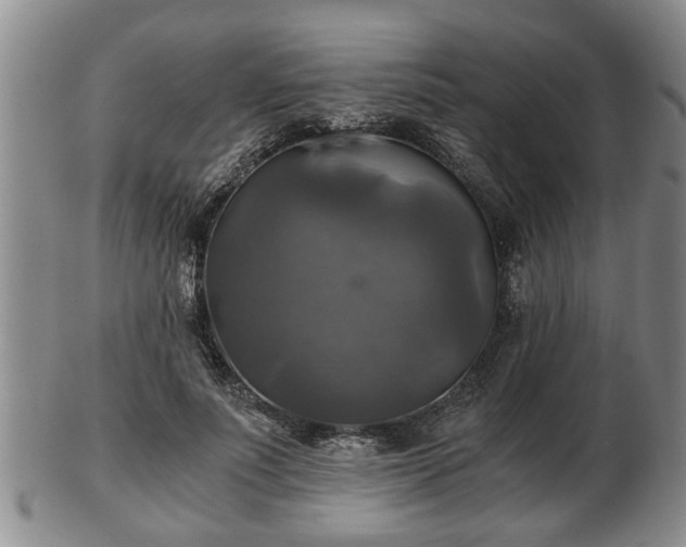 X0000103220691200809041003