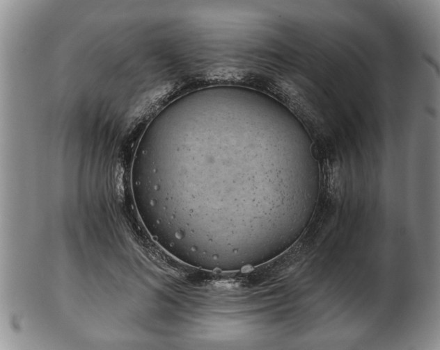 X0000103220692200809041003