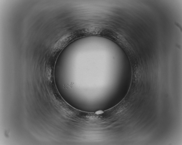 X0000103220693200809041003