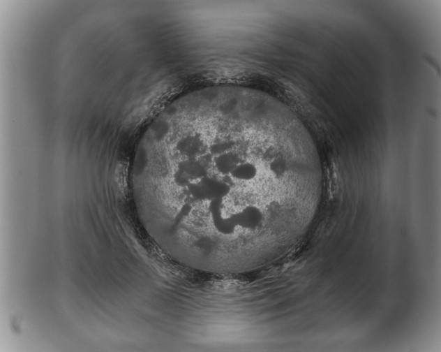 X0000103220695200809041003