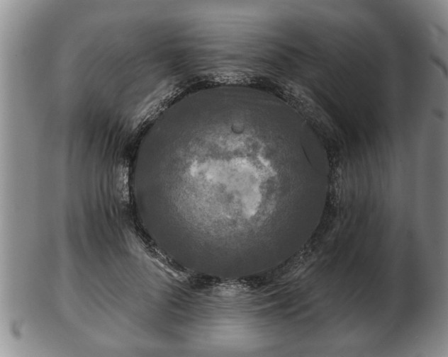 X0000103220696200809041003