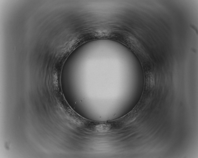 X0000103220700200809041003