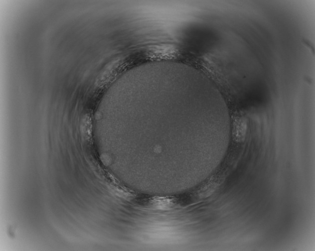 X0000103220701200809041003