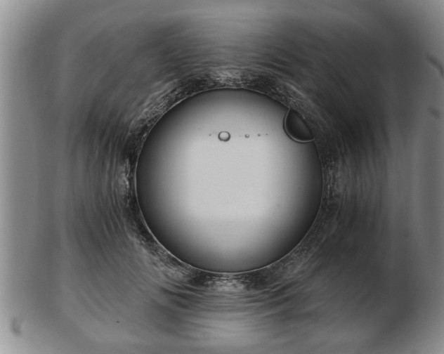 X0000103220702200809041003