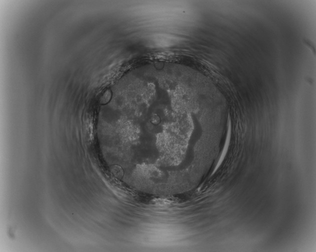 X0000103220703200809041003