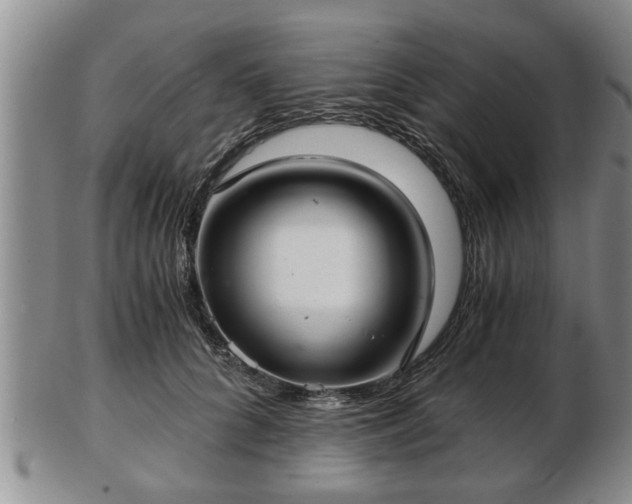 X0000103220704200809041003