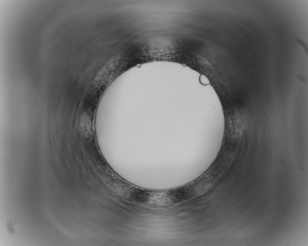 X0000103220705200809041003