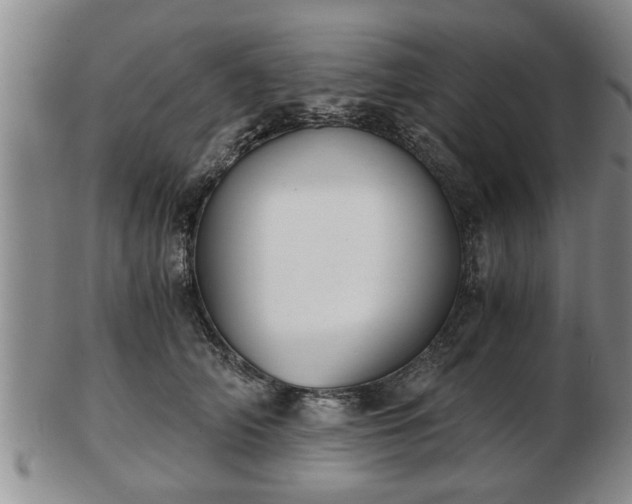 X0000103220706200809041003