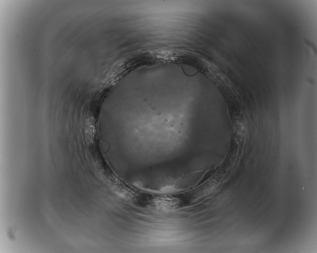 X0000103220707200809041003