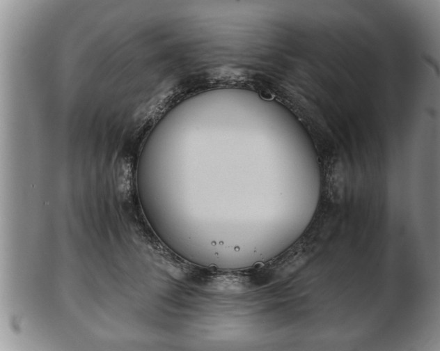 X0000103220708200809041003