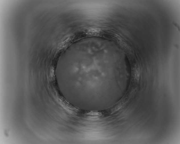 X0000103220711200809041003