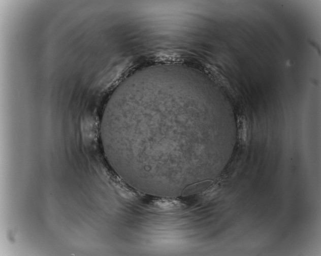 X0000103220712200809041003