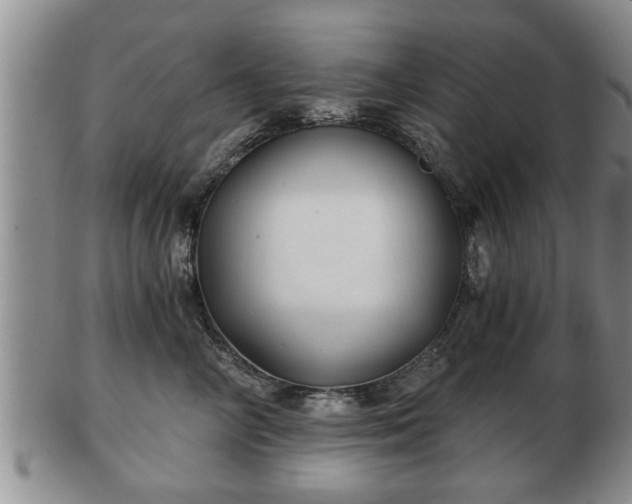 X0000103220714200809041003