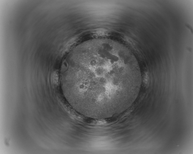 X0000103220715200809041003