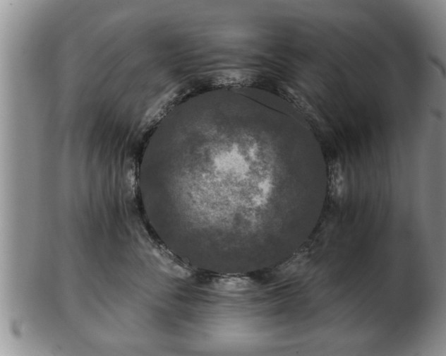 X0000103220716200809041003