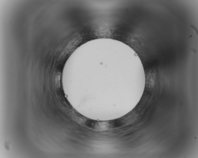 X0000103220717200809041003