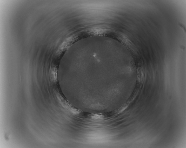 X0000103220718200809041003