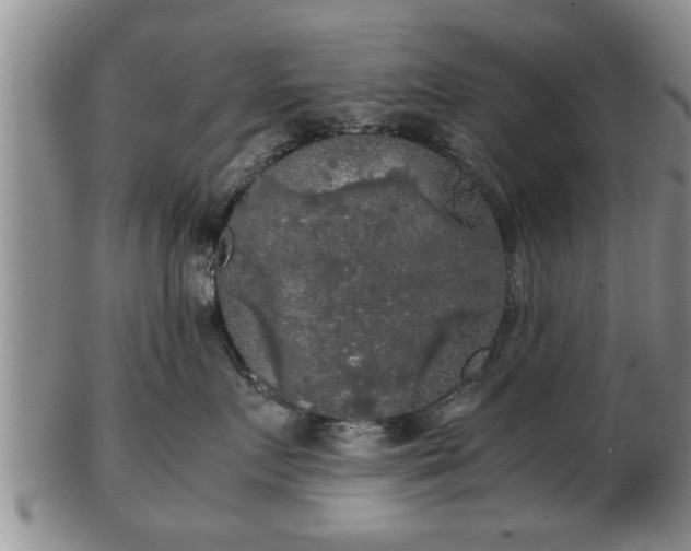 X0000103220719200809041003