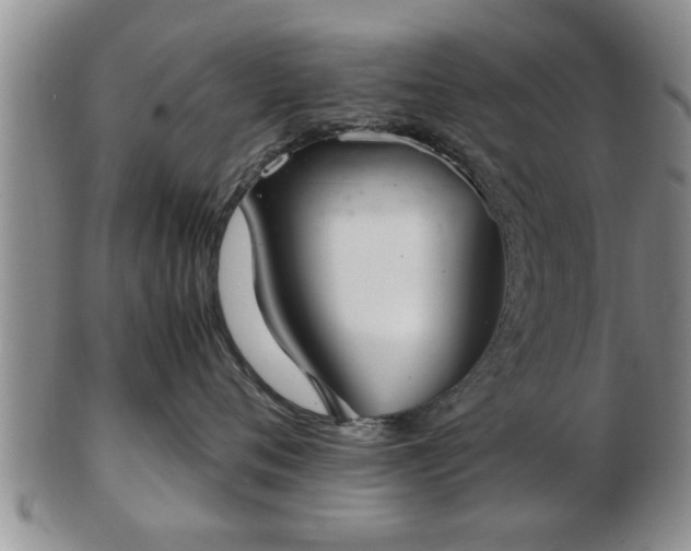 X0000103220720200809041002