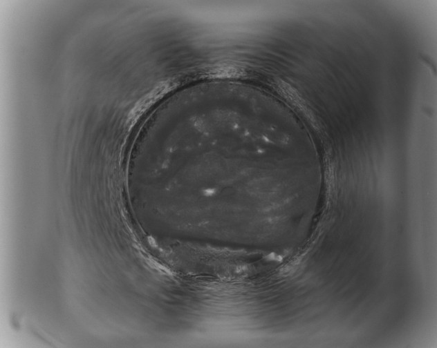 X0000103220721200809041002