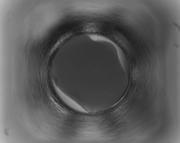 X0000103220722200809041002