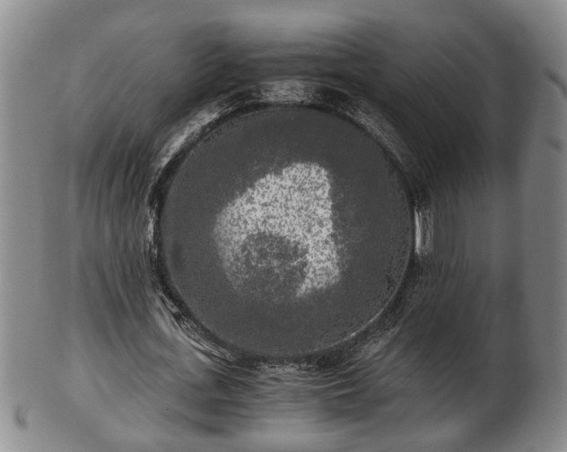 X0000103220723200809041002