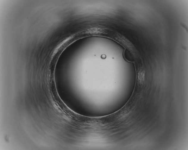 X0000103220724200809041002