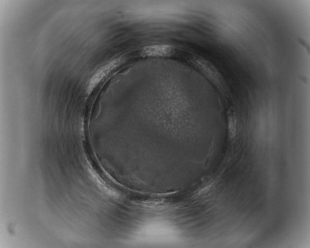 X0000103220725200809041002