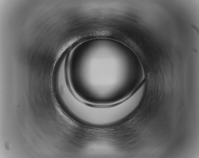 X0000103220726200809041002